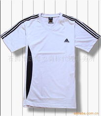 石狮市四海龙商标代理事务所 鞋帽批发行业的品牌守护与商业拓展专家