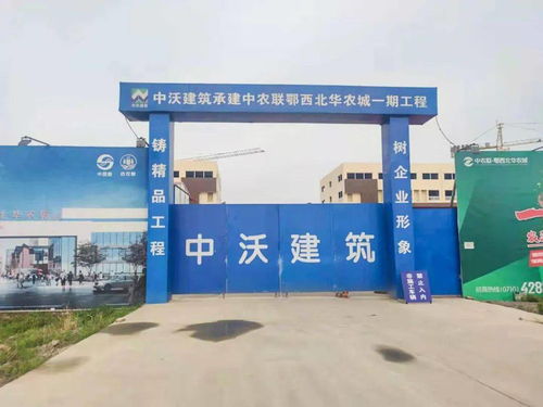 中农联皖东南泾县农产品批发市场盛大开工，助力区域农业产业升级